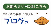 ブログ　