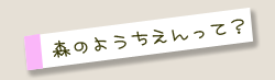 森のようちえんって？